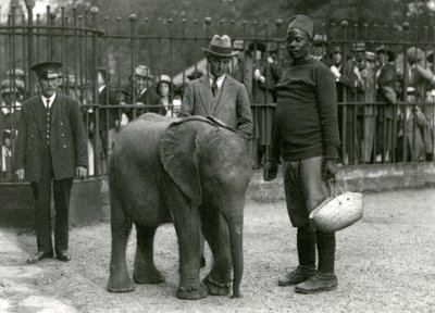 Jonge Afrikaanse Olifant Kiberenge met trainer Darisha, een verzorger en een andere man, met menigten bezoekers die toekijken van de andere kant van de hekken, London Zoo, september 1923 door Frederick William Bond